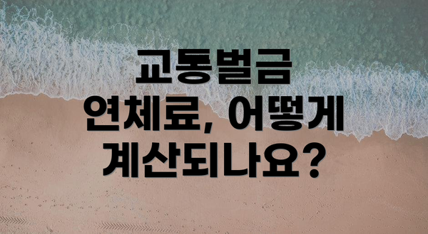 교통벌금 연체료, 어떻게 계산되나요?