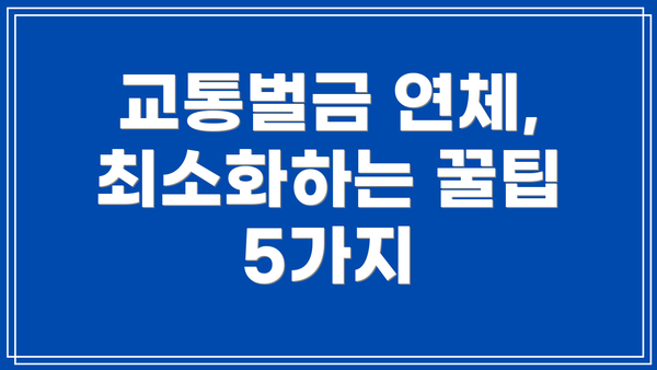 교통벌금 연체, 최소화하는 꿀팁 5가지