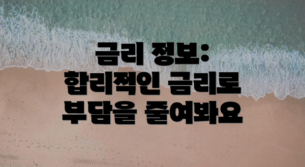 금리 정보: 합리적인 금리로 부담을 줄여봐요