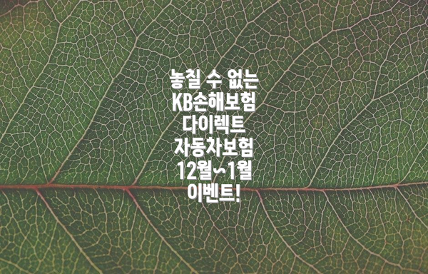 놓칠 수 없는 KB손해보험 다이렉트 자동차보험 12월~1월 이벤트!