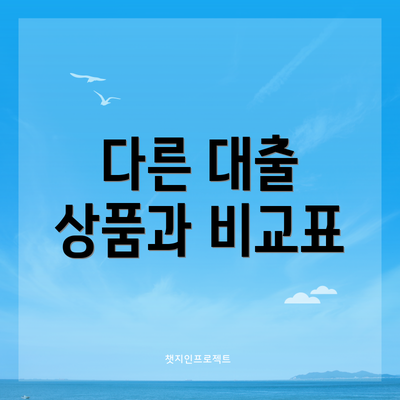 다른 대출 상품과 비교표