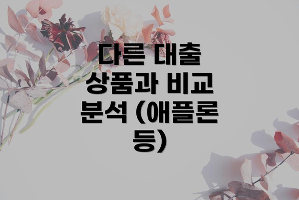 다른 대출 상품과 비교 분석 (애플론 등)