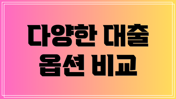 다양한 대출 옵션 비교