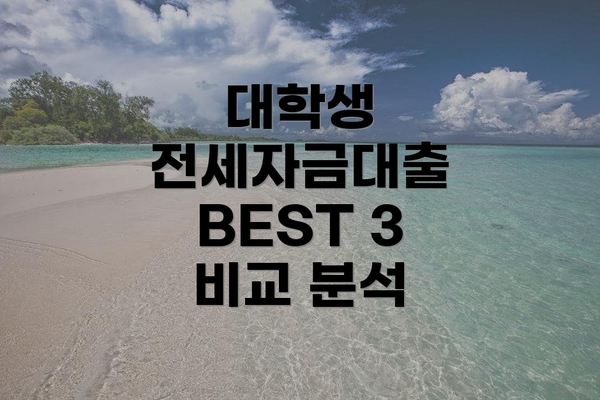 대학생 전세자금대출 BEST 3 비교 분석