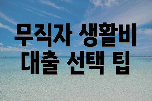 무직자 생활비 대출 선택 팁