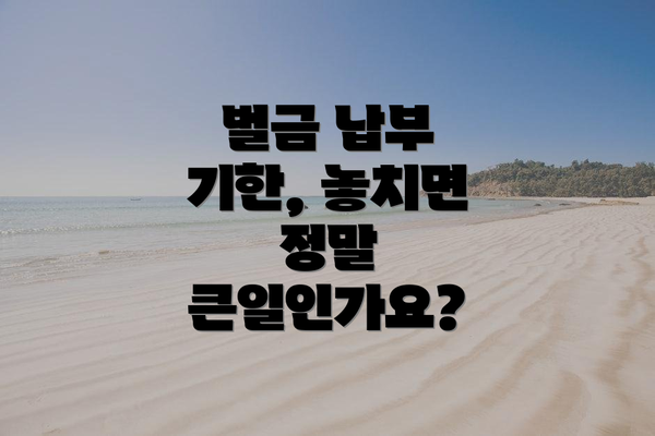 벌금 납부 기한, 놓치면 정말 큰일인가요?