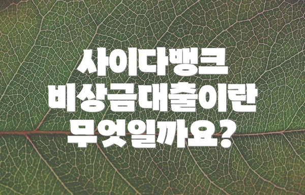 사이다뱅크 비상금대출이란 무엇일까요?