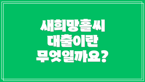 새희망홀씨 대출이란 무엇일까요?