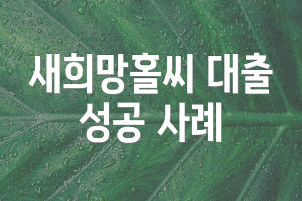 새희망홀씨 대출 성공 사례