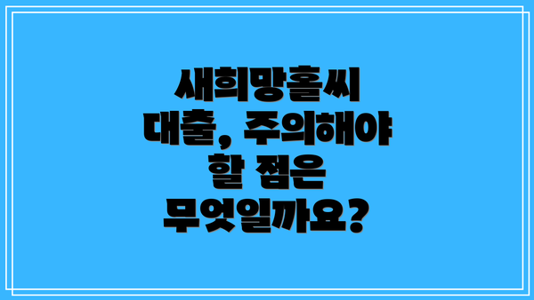 새희망홀씨 대출, 주의해야 할 점은 무엇일까요?