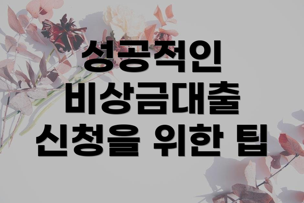 성공적인 비상금대출 신청을 위한 팁