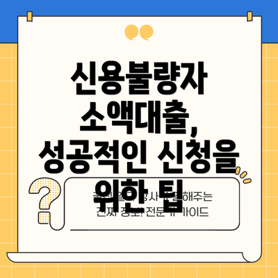 신용불량자 소액대출, 성공적인 신청을 위한 팁