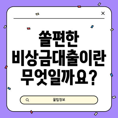 쏠편한 비상금대출이란 무엇일까요?