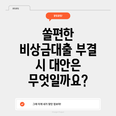 쏠편한 비상금대출 부결 시 대안은 무엇일까요?