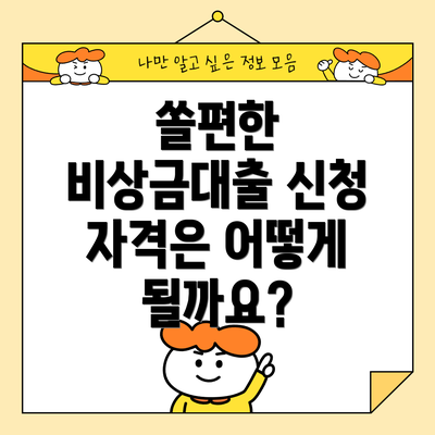 쏠편한 비상금대출 신청 자격은 어떻게 될까요?