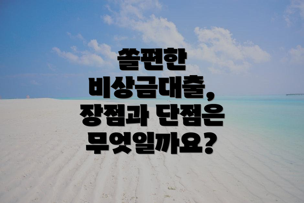 쏠편한 비상금대출, 장점과 단점은 무엇일까요?