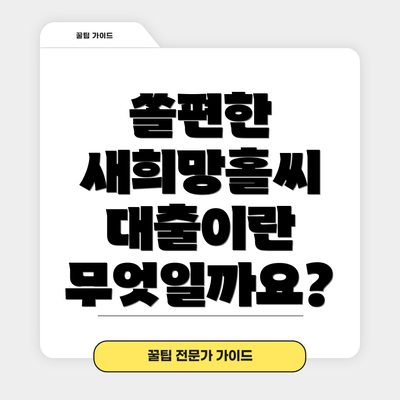 쏠편한 새희망홀씨 대출이란 무엇일까요?