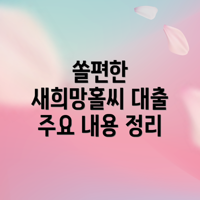 쏠편한 새희망홀씨 대출 주요 내용 정리