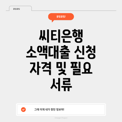 씨티은행 소액대출 신청 자격 및 필요 서류