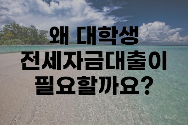 왜 대학생 전세자금대출이 필요할까요?