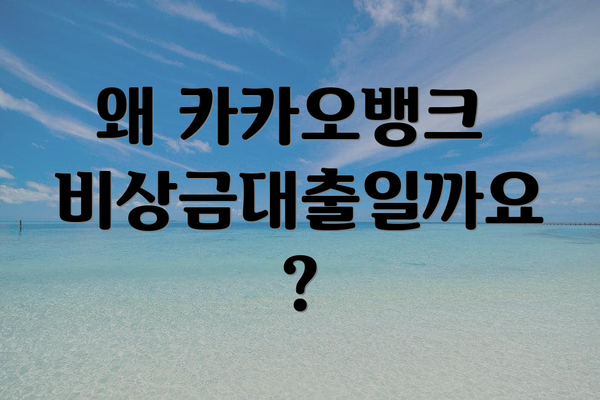 왜 카카오뱅크 비상금대출일까요?
