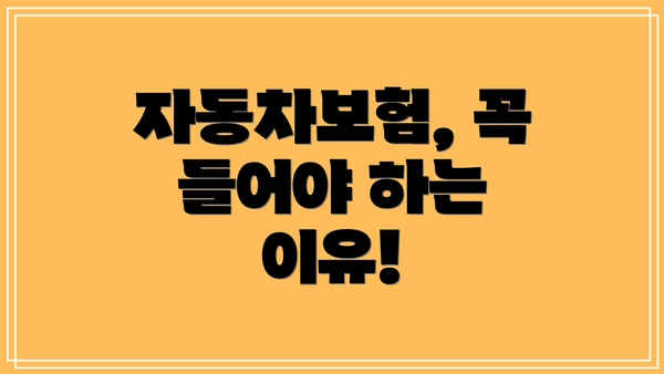 자동차보험, 꼭 들어야 하는 이유!