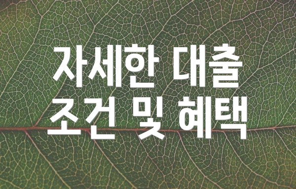 자세한 대출 조건 및 혜택