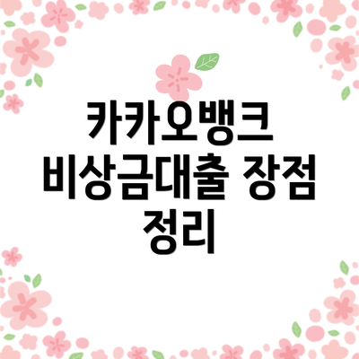 카카오뱅크 비상금대출 장점 정리