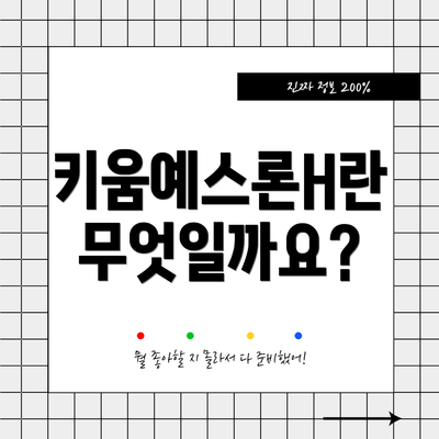 키움예스론H란 무엇일까요?