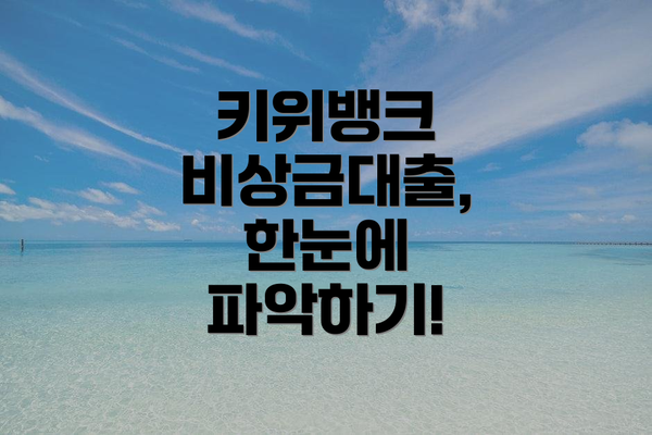 키위뱅크 비상금대출, 한눈에 파악하기!