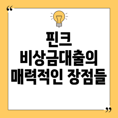 핀크 비상금대출의 매력적인 장점들