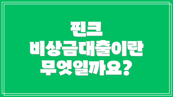 핀크 비상금대출이란 무엇일까요?