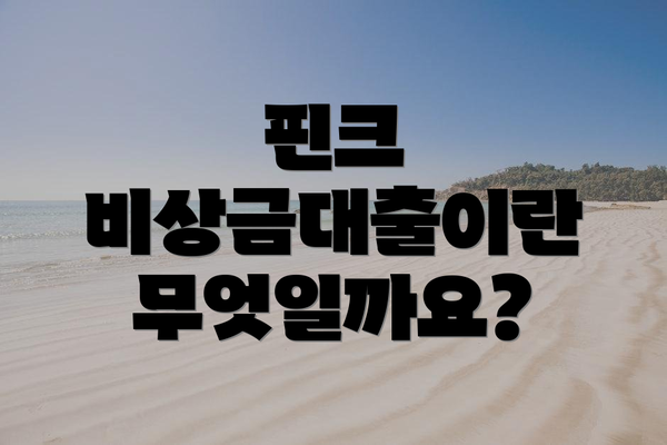 핀크 비상금대출이란 무엇일까요?