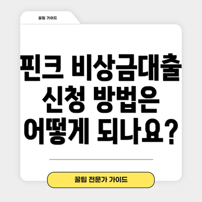 핀크 비상금대출 신청 방법은 어떻게 되나요?