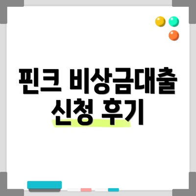 핀크 비상금대출 신청 후기