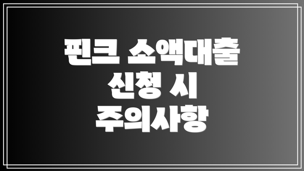 핀크 소액대출 신청 시 주의사항