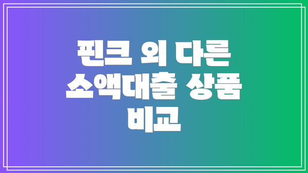 핀크 외 다른 소액대출 상품 비교