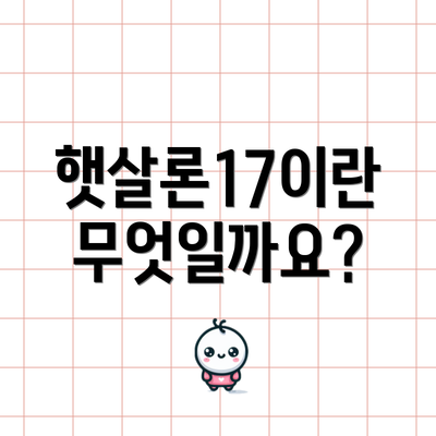 햇살론17이란 무엇일까요?