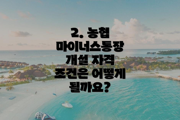 2. 농협 마이너스통장 개설 자격 조건은 어떻게 될까요?