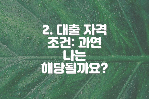 2. 대출 자격 조건: 과연 나는 해당될까요?