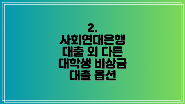 2. 사회연대은행 대출 외 다른 대학생 비상금 대출 옵션