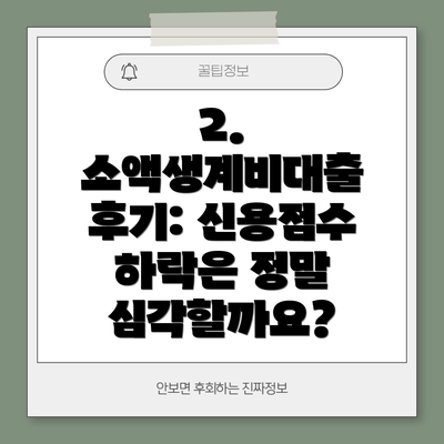 2. 소액생계비대출 후기: 신용점수 하락은 정말 심각할까요?