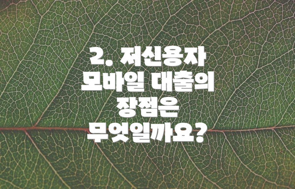 2. 저신용자 모바일 대출의 장점은 무엇일까요?