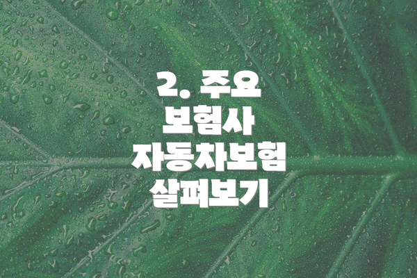 2. 주요 보험사 자동차보험 살펴보기