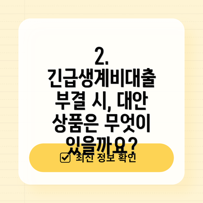 2. 긴급생계비대출 부결 시, 대안 상품은 무엇이 있을까요?