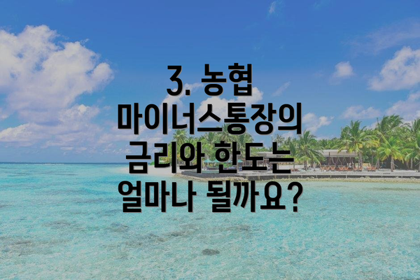 3. 농협 마이너스통장의 금리와 한도는 얼마나 될까요?