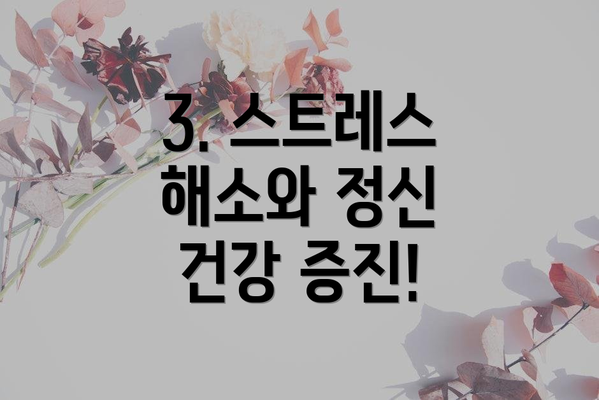 3. 스트레스 해소와 정신 건강 증진!