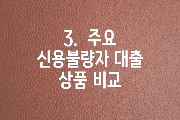 3.  주요 신용불량자 대출 상품 비교