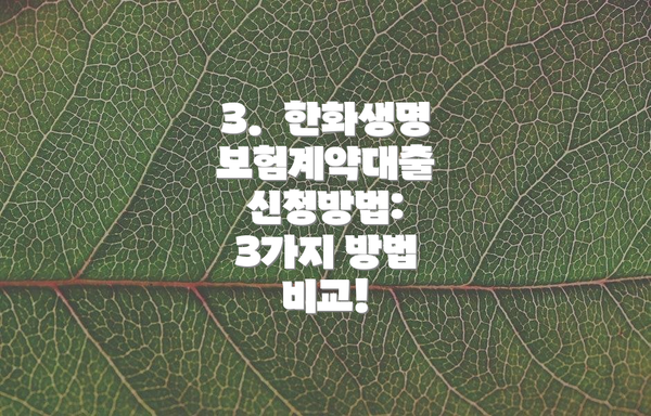 3. 한화생명 보험계약대출 신청방법: 3가지 방법 비교!