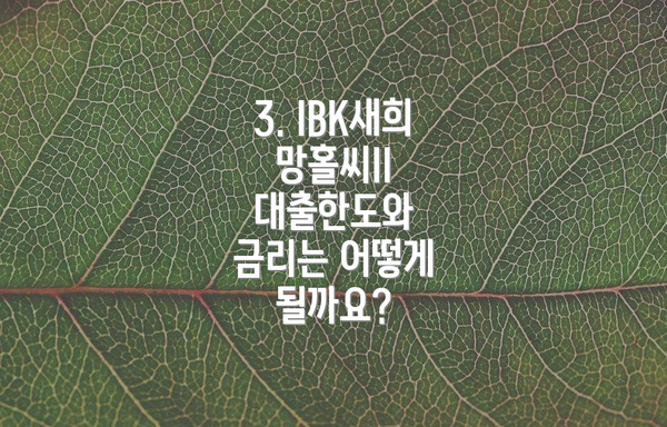 3. IBK새희망홀씨II 대출한도와 금리는 어떻게 될까요?